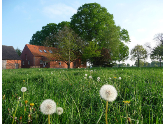 Vakantiehoeve Hanneken Tas